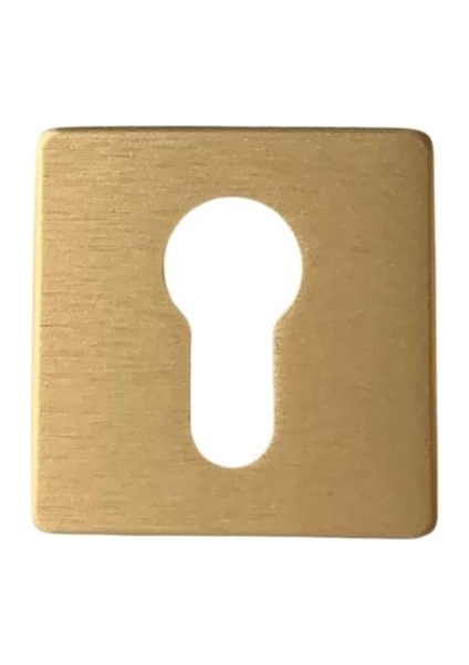 RO11 Kapı Kolu Rozeti Yale (Dış Kapı) Fırçalı Mat Altın 52X52X9 mm