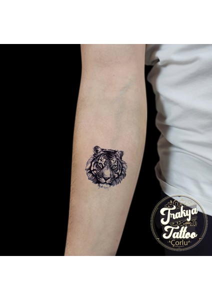 Geçici Dövme 1-2 Hafta Kalıcı Minimal Kaplan Dövmesi fiyatları