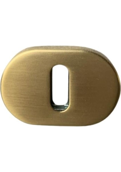 RO16 Kapı Kolu Rozeti Oda Gold Branch 58X37X11 mm