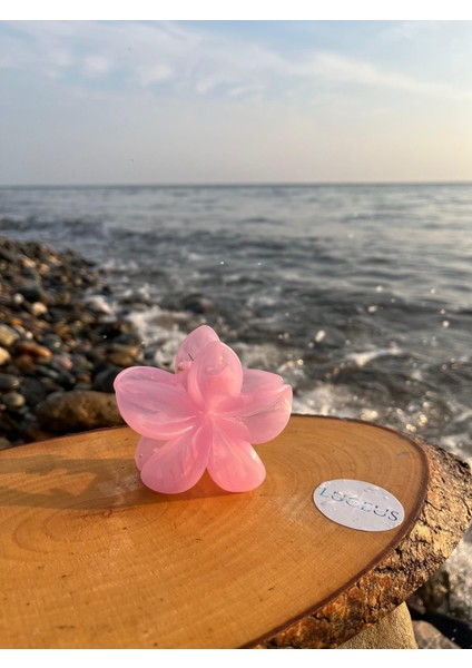 Pembe Renk Lotus Toka