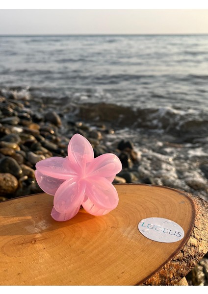 Pembe Renk Lotus Toka fiyatları