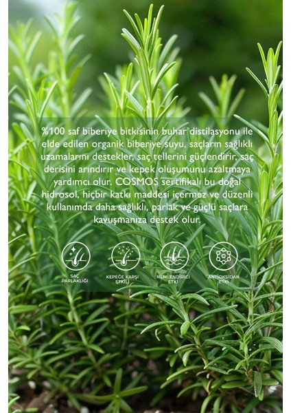 Organik Biberiye Suyu fiyatları