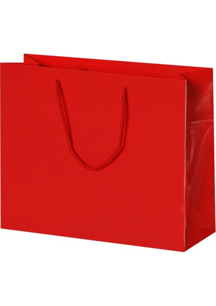 42X38X12 Karton Çanta 10LU Kırmızı