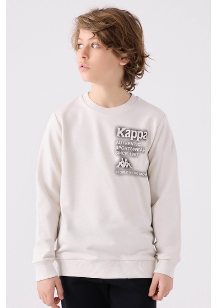 Taş Erkek Çocuk Sweatshirt 361U7WW fiyatları