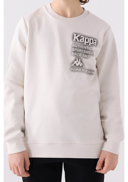 Taş Erkek Çocuk Sweatshirt 361U7WW modelleri