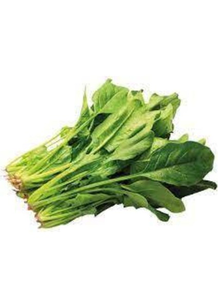 50 Adet Tohum Yerli Ispanak Tohumu Sürpriz Hediye Tohum Byeşil Ispanak Tohumludur