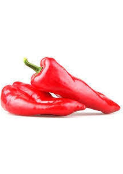 50 Adet Tohum Kırmızı Kapya Biber Tohumu Etli Pat Biber Kebaplık Biber Sürpriz Hediye Tohumludur