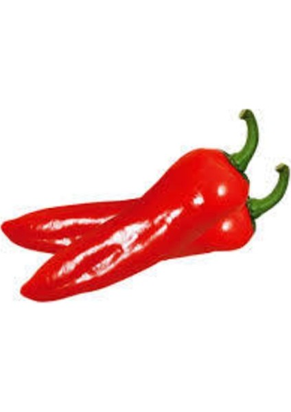 50 Adet Tohum Kırmızı Kapya Biber Tohumu Etli Pat Biber Kebaplık Biber Sürpriz Hediye Tohumludur fırsatları
