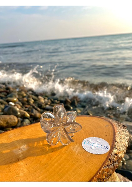 Şeffaf Gri Renk Lotus Toka