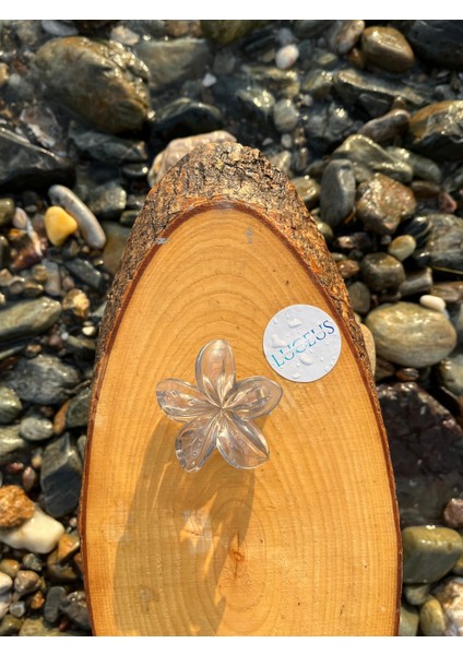 Şeffaf Gri Renk Lotus Toka fiyatları