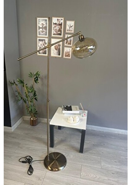 Solvia Cam Bal Rengi Makas Gövde Lambader Modern Oturma Odası