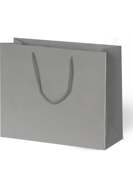 42X38X12 Karton Çanta Gümüş 10'lu