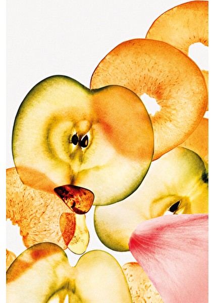 Sheer Peach Hair & Body Perfume Mist 236 ml - Unisex Saç ve Vücut Misti fırsatları