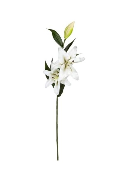 Çiçek Lilyum Beyaz 90 Cm. fiyatları