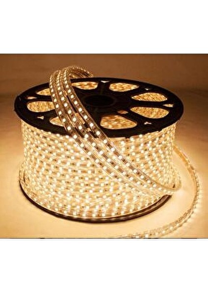 Ct 4553 3 Çip Dış Mekan Hortum Şerit LED Günışığı 220V 3 Metre