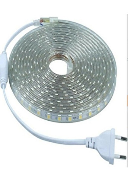 Ct 4553 3 Çip Dış Mekan Hortum Şerit LED Günışığı 220V 3 Metre fiyatları