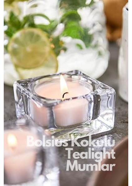 Manolya Kokulu Tealight Mum, 6\'lı Paket, 4 Saat Yanma Süresi, Doğal Vegan Balmumu Içerir, indirimleri