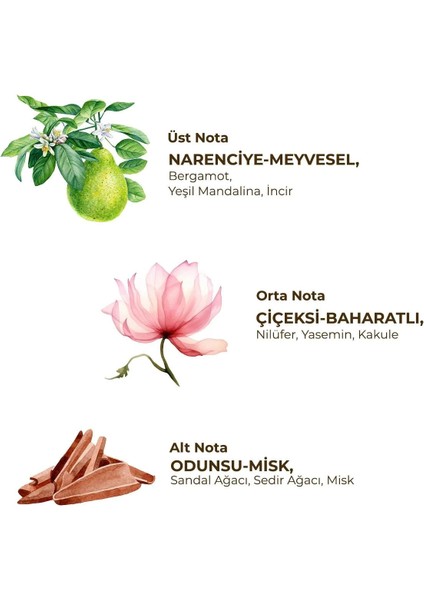 Eyüp Sabri Tuncer Kadın Roll On Deodorant 75 ml Active fiyatları