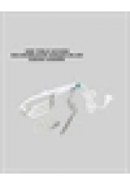 Taşınabilir Buharlı Ütü 1500W | Giysilerde Yanık Bırakmaz, Kokuyu Giderir fiyatları