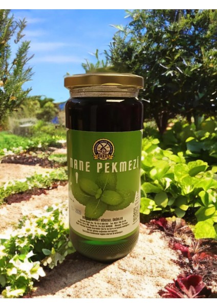 700 ml Doğal Nane Pekmezi