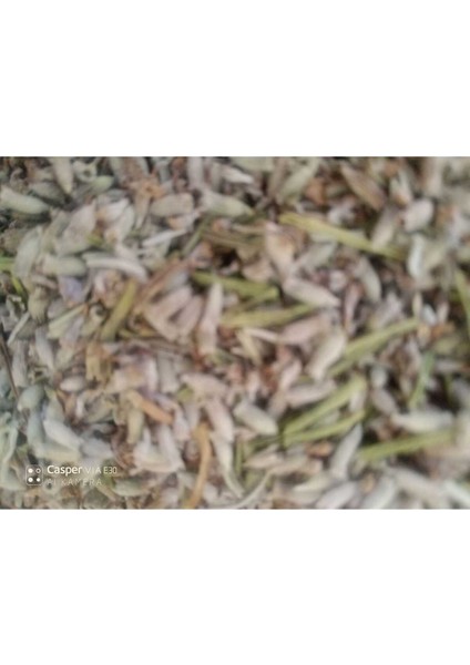 "500 gr Kuru Lavanta", "doğal Lavanta", "organik Lavanta", "ısparta Lavantası", "bez Torba" modelleri