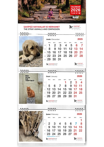 2026 Duvar Takvimi
