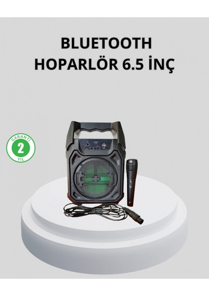 Taşınabilir Bluetooth Hoparlör – Fm Radyo, Usb, Sd Kart ve Tws Özellikli