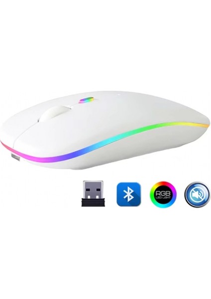 ZR215 Cba100 Rgb Beyaz Şarjlı Mouse
