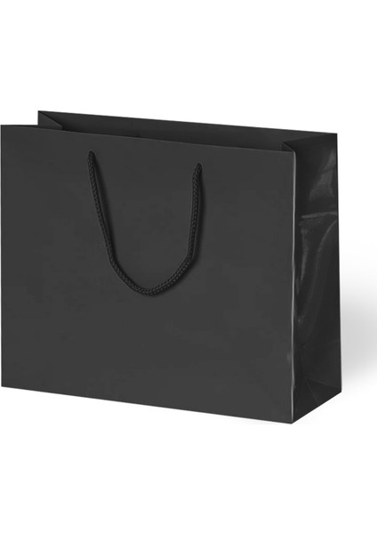 42X38X12 Karton Çanta 10LU Siyah