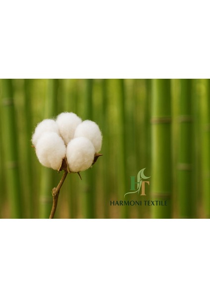 2’li %100 Doğal Bambu Pamuk Dolgulu Yastık 50X70 fırsatları