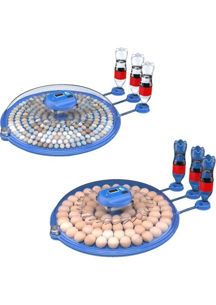 80/240 Kapasiteli Çift Viyollü Kuluçka Makinesi Kaz Ördek Tavuk Bıldırcın Kuşlar Için ( Lisinya )