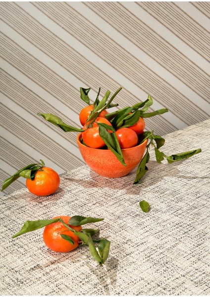 Bej Hat Vinil Backdrop – Minimal Çizgili Fotoğraf Arka Planı (80×120 Cm) modelleri