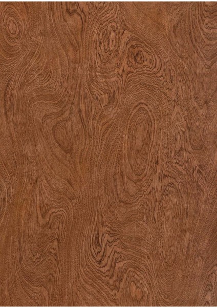 Altın Meşe Vinil Backdrop – Kırışmaz Mat Fotoğraf ve Video Çekim Arka Planı (80×120 Cm) modelleri