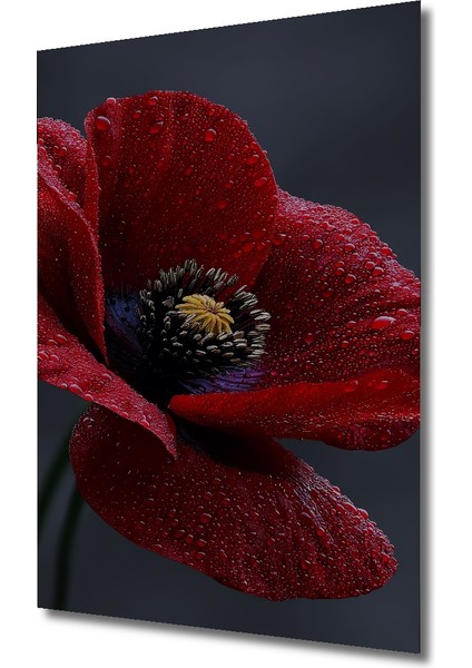 Kırmızı Haşhaş Çiçeği Yağlı Boya Görünümlü Ahşap Dekoratif Tablo Dikdörtgen Tablo modelleri