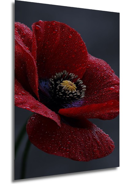 Kırmızı Haşhaş Çiçeği Yağlı Boya Görünümlü Ahşap Dekoratif Tablo Dikdörtgen Tablo fırsatları