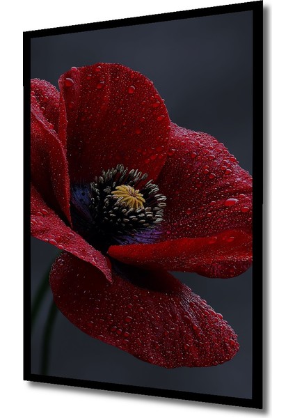 Kırmızı Haşhaş Çiçeği Yağlı Boya Görünümlü Ahşap Dekoratif Tablo Dikdörtgen Tablo indirimleri