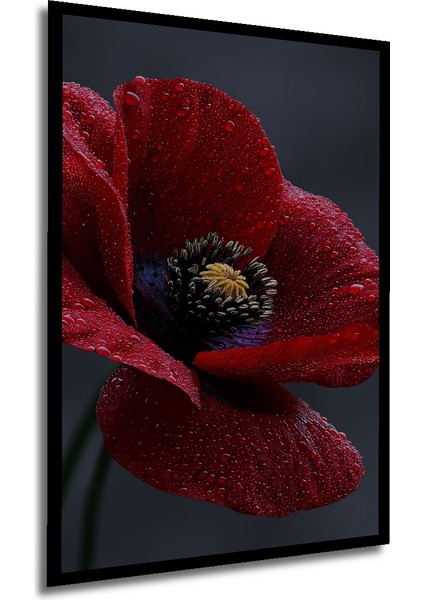 Kırmızı Haşhaş Çiçeği Yağlı Boya Görünümlü Ahşap Dekoratif Tablo Dikdörtgen Tablo