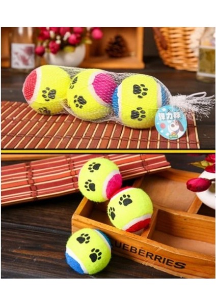 At Getir Köpek Eğitim Topu (K95) fiyatları