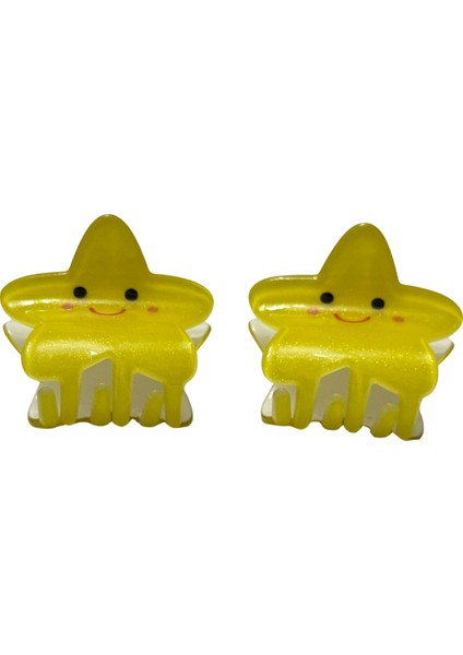 2’li Kemik Renkli Meyveli Mandal Toka Hediyelik fiyatları