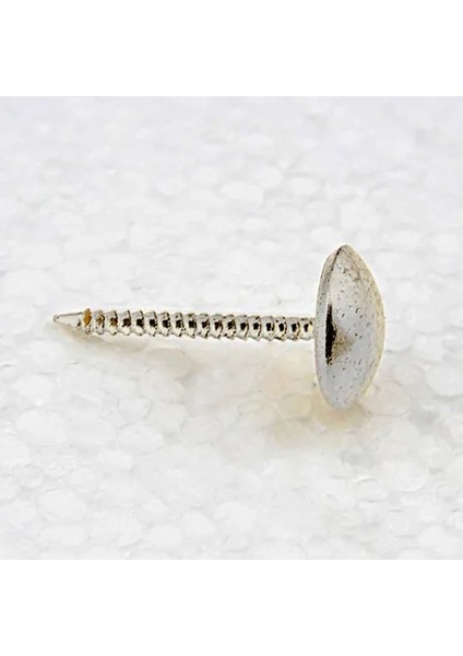 Nikel Saraciye, Deri Tırtıklı Kabara 9,5 mm - 1000 ( Lisinya )