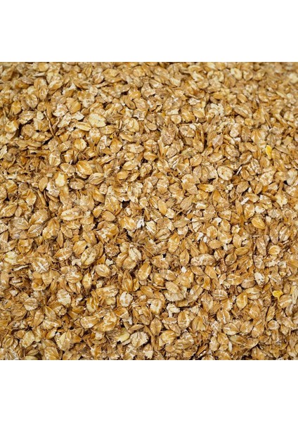 25 kg Ezme Arpa At Yemi (Arap Atları Için Öncelikli Yem)