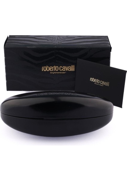 440S C.25G 61-16 Güneş Gözlüğü