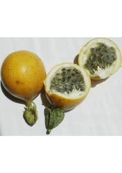 Grandilla Meyvesi Ağacı Tohumu 5 Adet modelleri