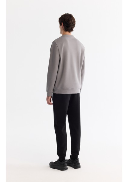 Erkek Gri Bisiklet Yaka Pamuklu Baskılı Elastan Regular Fit Sweatshirt A42Y1267