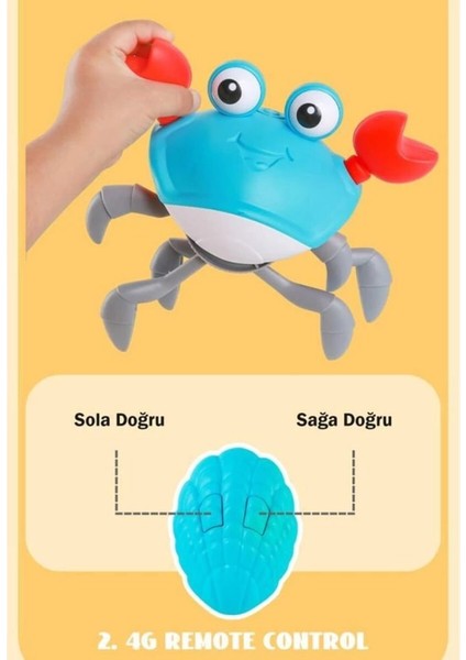 Bfs 6721E Şarjlı Kumandalı Yengeç modelleri