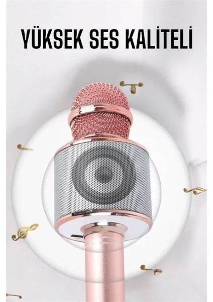 Taşınabilir Bluetooth Karaoke Mikrofon: Hafıza Kart Girişli, Etkileyici Performans fırsatları