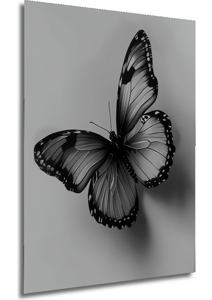 Siyah Beyaz Kelebek Kara Kalem Görünümlü Dekoratif Ahşap Tablo Dikdörtgen Tablo fırsatları