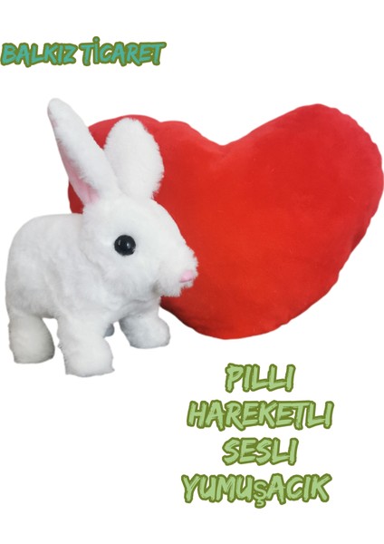 Pilli Zıplayan Oyuncak Tavşan