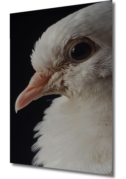 Beyaz Güvercin Yağlı Boya Görünümlü Ahşap Dekoratif Tablo Dikdörtgen Tablo modelleri