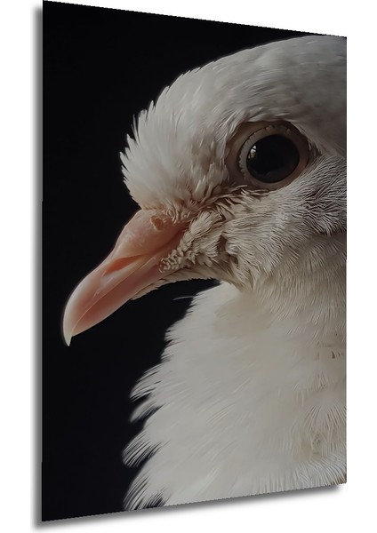 Beyaz Güvercin Yağlı Boya Görünümlü Ahşap Dekoratif Tablo Dikdörtgen Tablo fırsatları